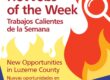 Hot Jobs of the Week
